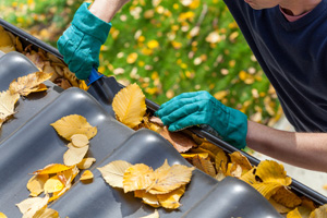 Rain Gutter Cleaning